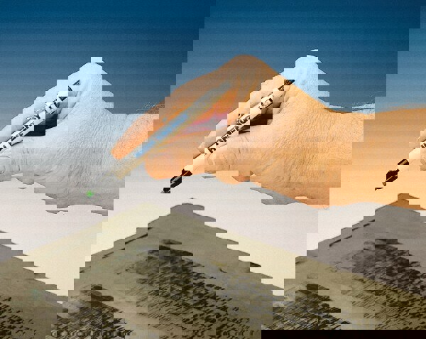 Radioactive Marker: Green